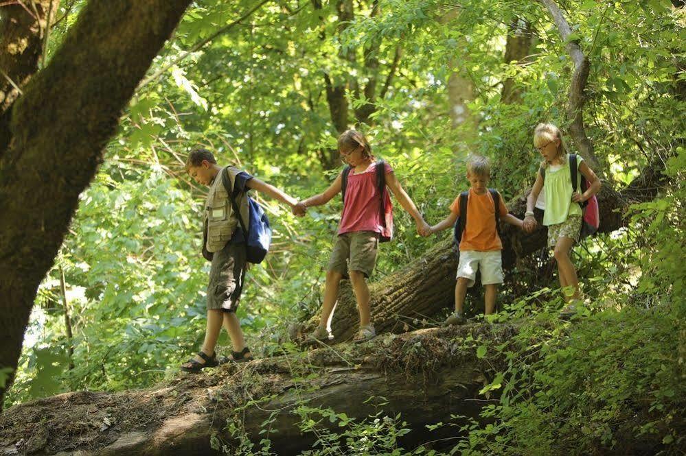 Treetops Lodge & Estate Роторуа Экстерьер фото